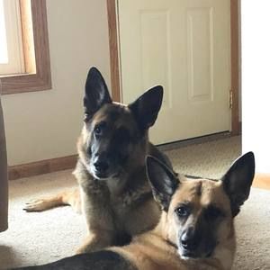 Meet your Posher, Carla